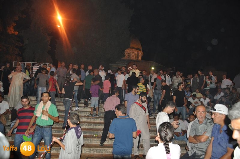 lud trawer7 aqsa 805 (25).JPG